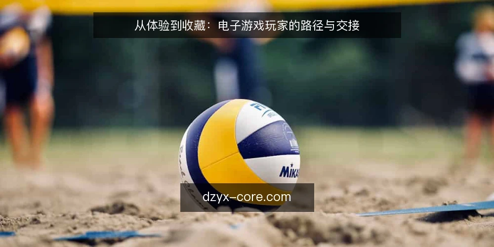 从体验到收藏：电子游戏玩家的路径与交接 — 从体验到收藏：玩家的路径起点 配图