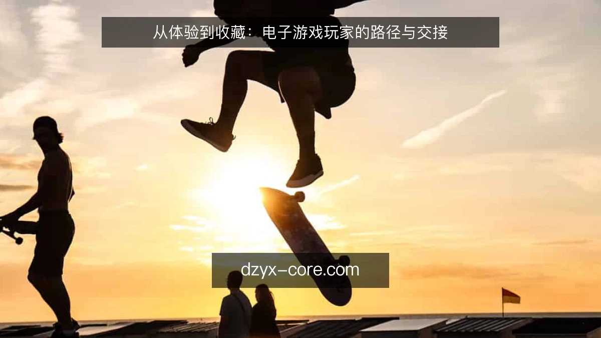 从体验到收藏：电子游戏玩家的路径与交接