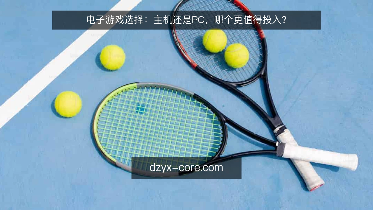 电子游戏选择：主机还是PC，哪个更值得投入？