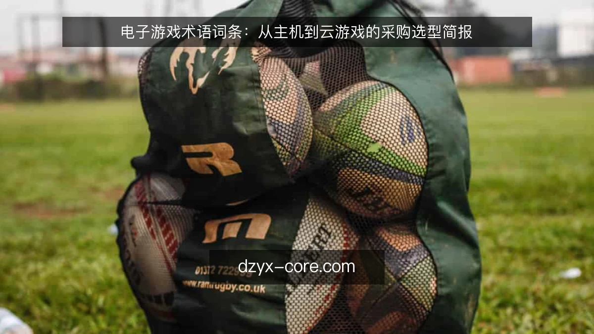 电子游戏术语词条：从主机到云游戏的采购选型简报