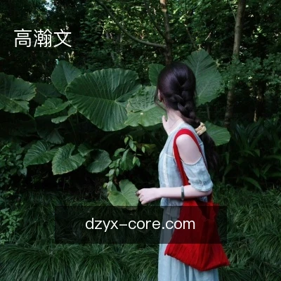 高瀚文