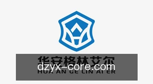 电子游戏