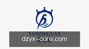电子游戏