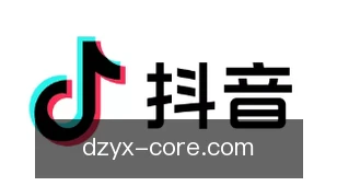 电子游戏